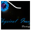 Physical Images Photography